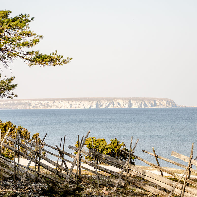 Utsikt över havet över gärdesgården i Djupviks Hamn, Gotland