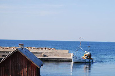 Hamnjobb i Djupviks Hamn 2019